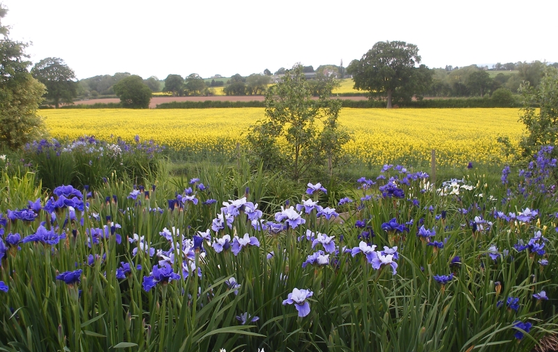 Aulden Farm